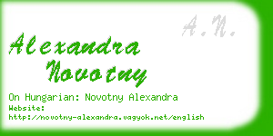 alexandra novotny business card